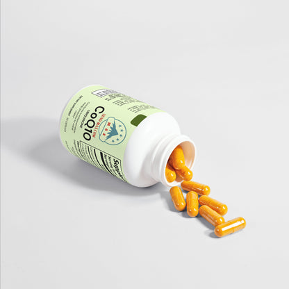 CoQ10 Ubiquinone